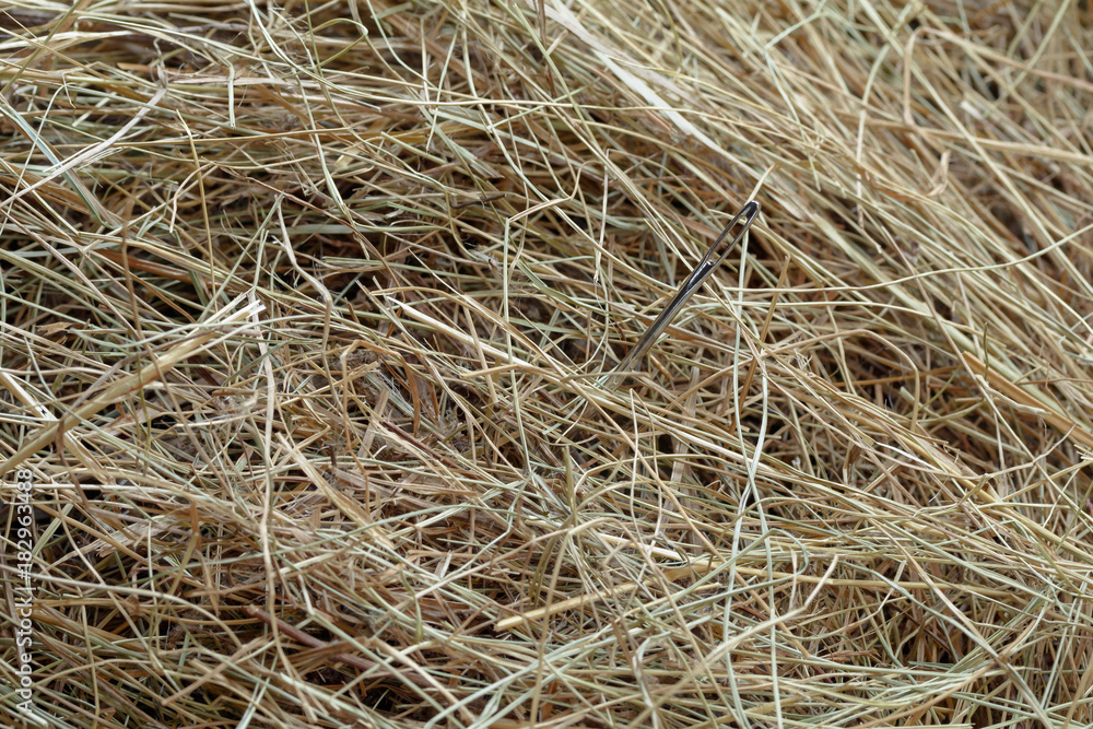 needle in a haystack/ needle in a haystack needle in a haystack/ needle in a haystack