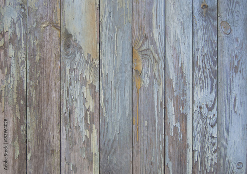 blue old wooden fence. wood palisade background. planks texture