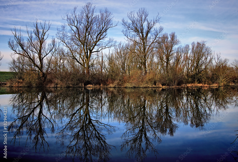 Obraz premium Reflection