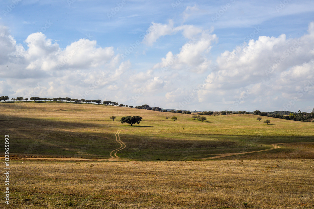 Obraz premium Portugal