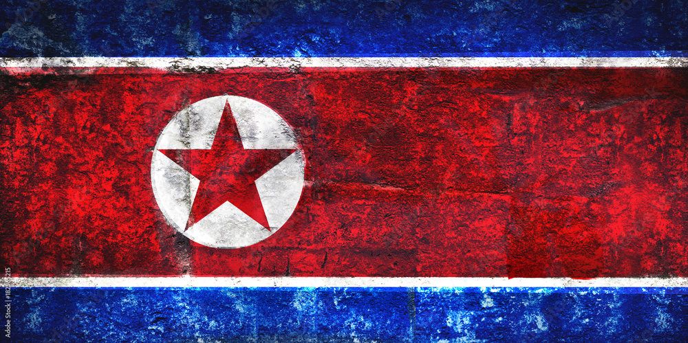 lag of North Korea on stone texture background closeup