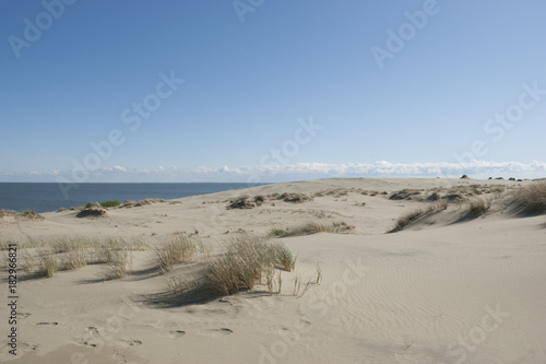 Billede på lærred Sands of the Curonian Spit