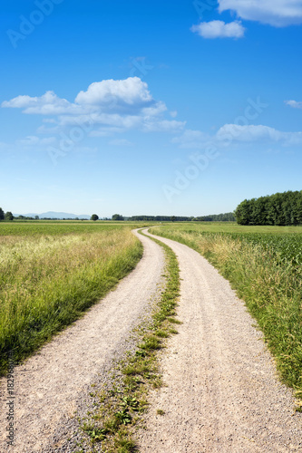 Curved rural dirt road through green field