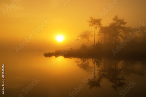 Sunrise golden tree reflection on the lake