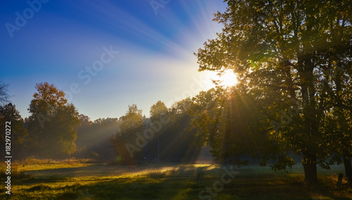 sun rays sunrise trees