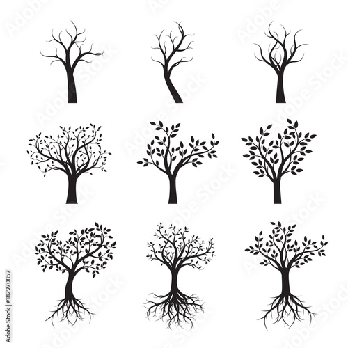 Set of Black Trees with Leaves and Roots. Vector Illustration.