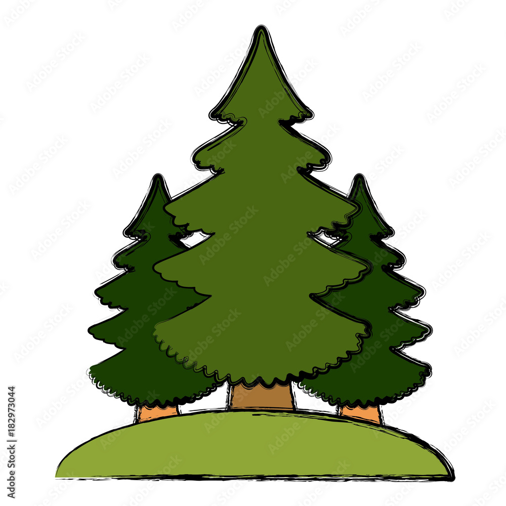 Naklejka premium Trees pines isolated icon vector illustration graphic design