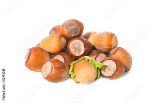 Nuts with green leaf