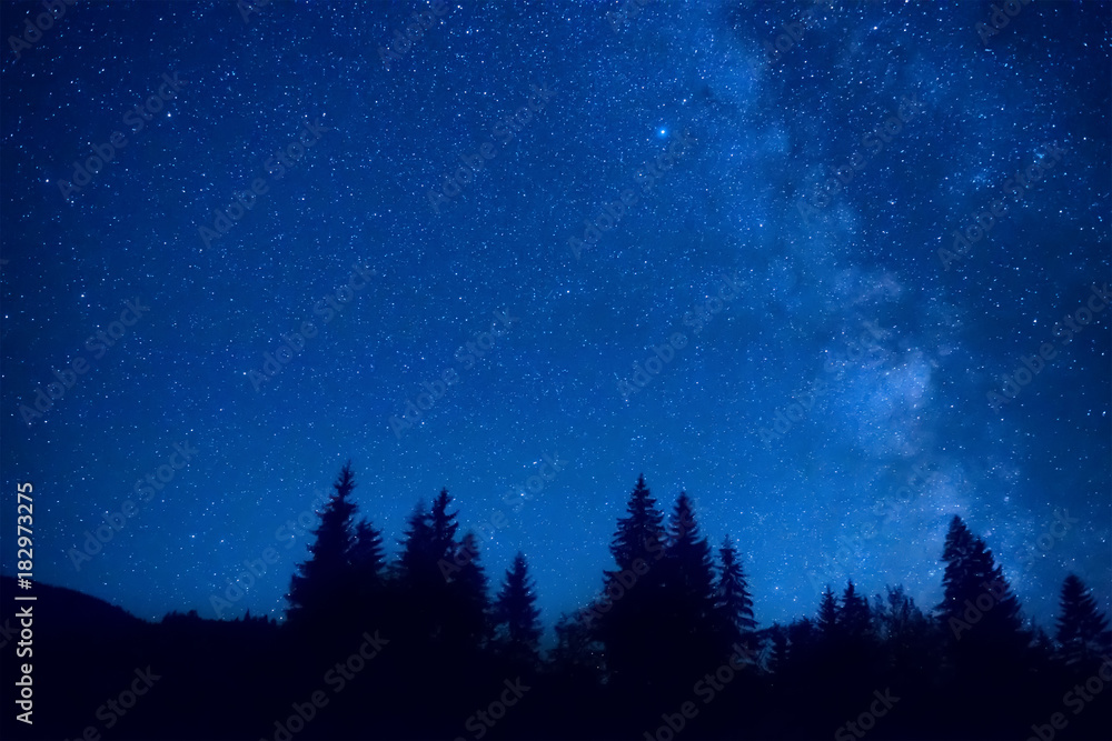 Forest at night with pine trees under dark blue sky with many stars