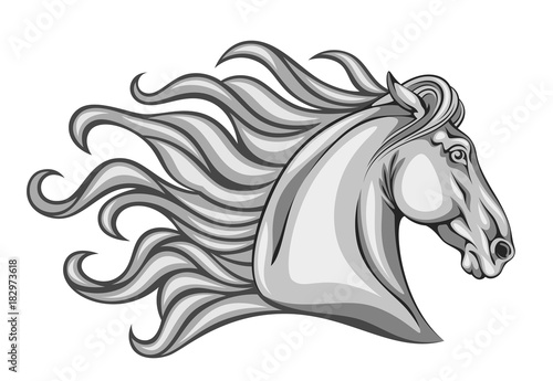 Horse head on a white background