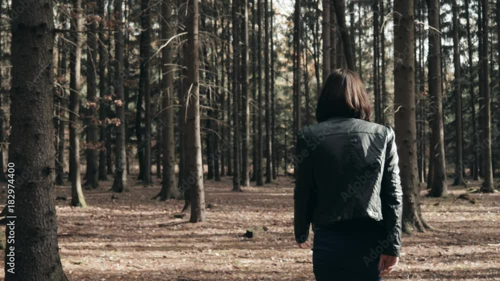 Young Beautiful Woman Walking In Autumn Park. Girl Walking In Forest In Fall, Lifestyle Concept Young Beautiful Woman Walking In Autumn Park. Girl Walking In Forest In Fall, Lifestyle Concept