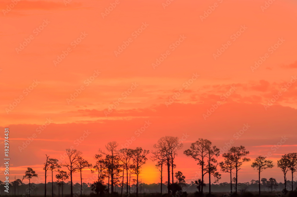 Fototapeta premium Sunrise in Punta Gorda Florida