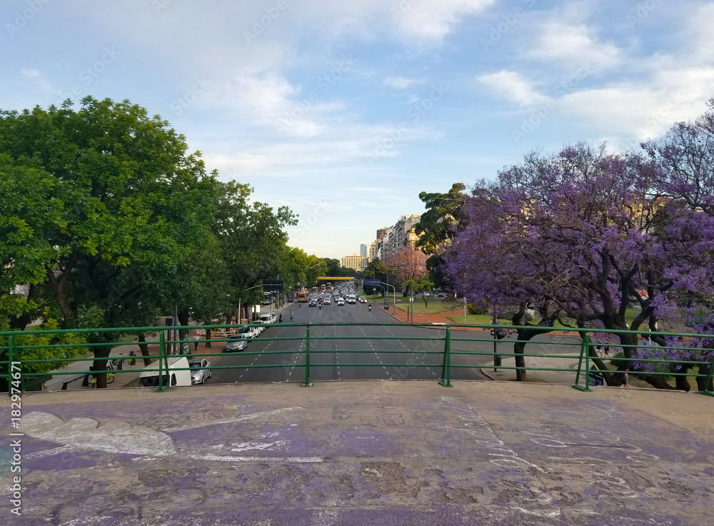 Spring flowering jacaranda in Buenos Aires, Argentina. Highway