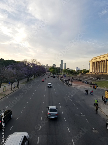 Spring flowering jacaranda in Buenos Aires, Argentina. Highway