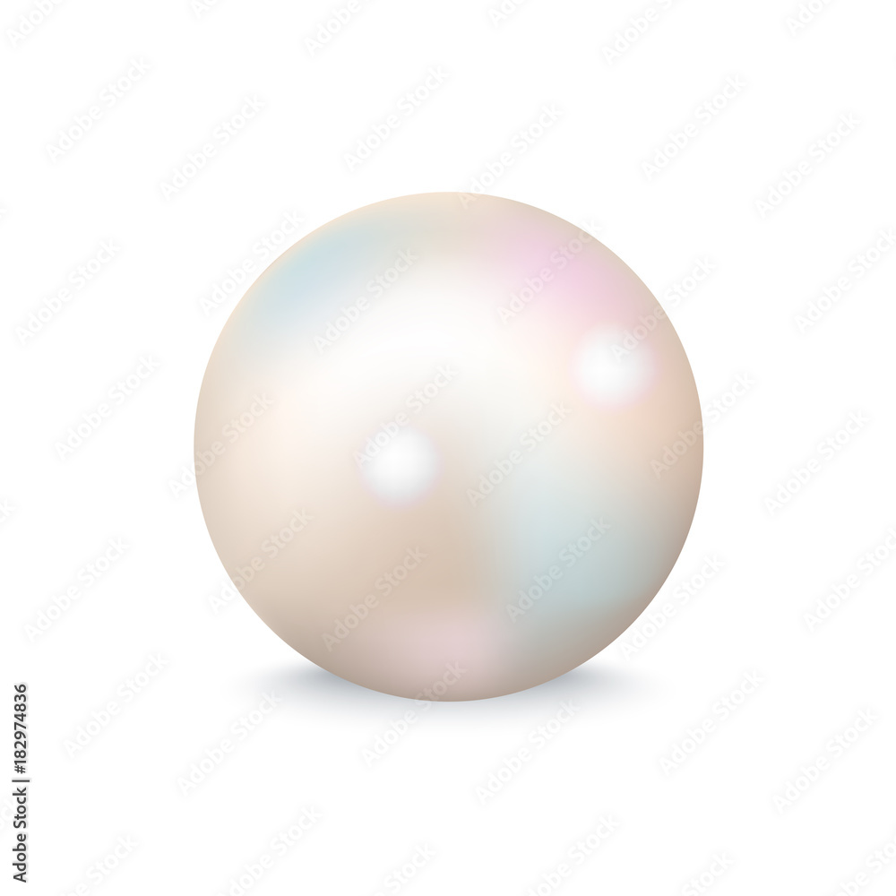 Closeup of White Pearl on Vector Illustration Closeup of White Pearl on Vector Illustration