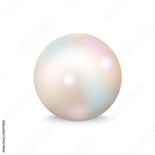 Closeup of White Pearl on Vector Illustration