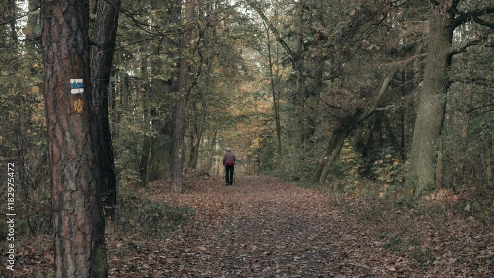 Senior Man At The Nordic Walking In The Cold Autumn Park Senior Man At The Nordic Walking In The Cold Autumn Park