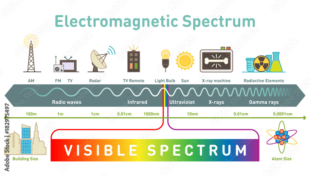 Electromagnetic spectrum diagram vector illustration
