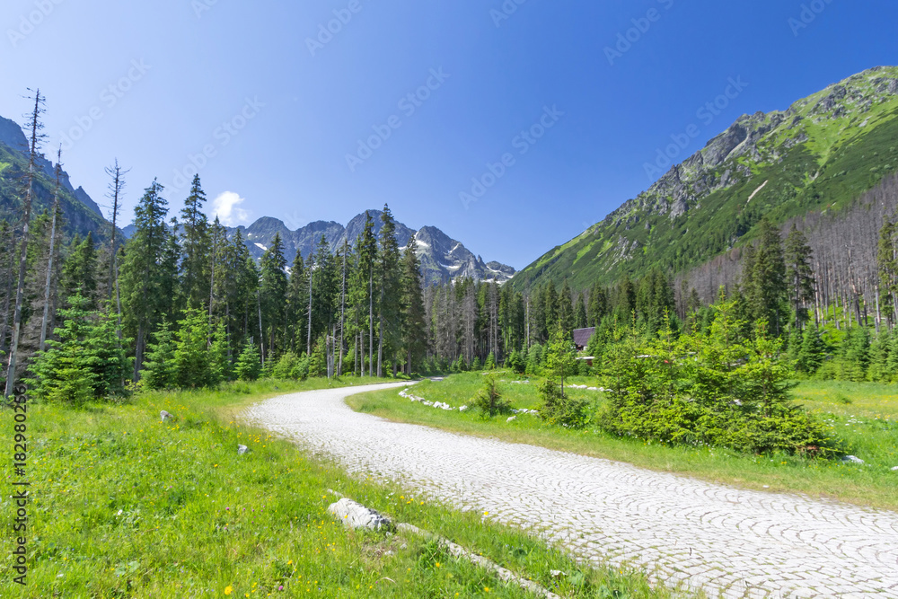 Fototapeta premium Tatra National Park in Poland