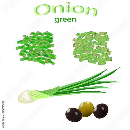 Green onions, finely chopped in a bowl. Leek. Vector illustration for a recipe, restaurant menu, kitchen interior design.