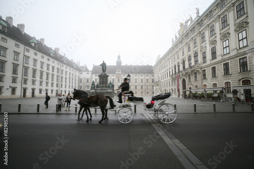 Horse and Carriage travel passed statue and historic building in Vienna