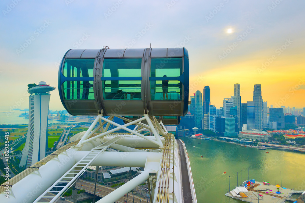 Naklejka premium Singapore Flyer and Downtown Core