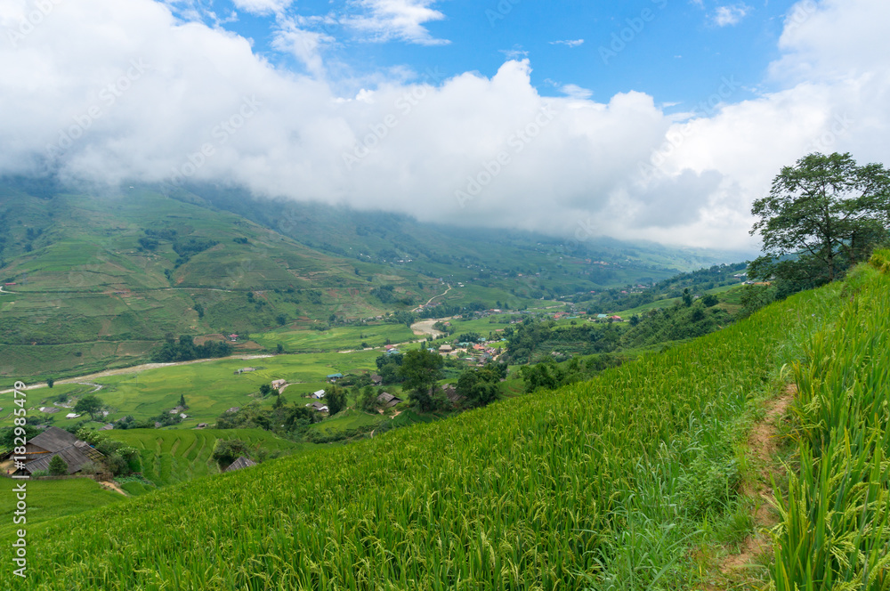Hiking path among rice terraces with view of mountain valley