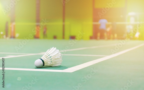 badminton courts with shuttlecocks in the foreground