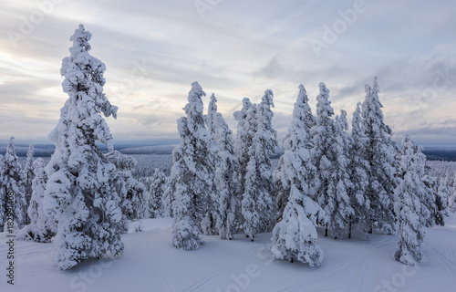 Beautiful winter landscape from Northern Finland