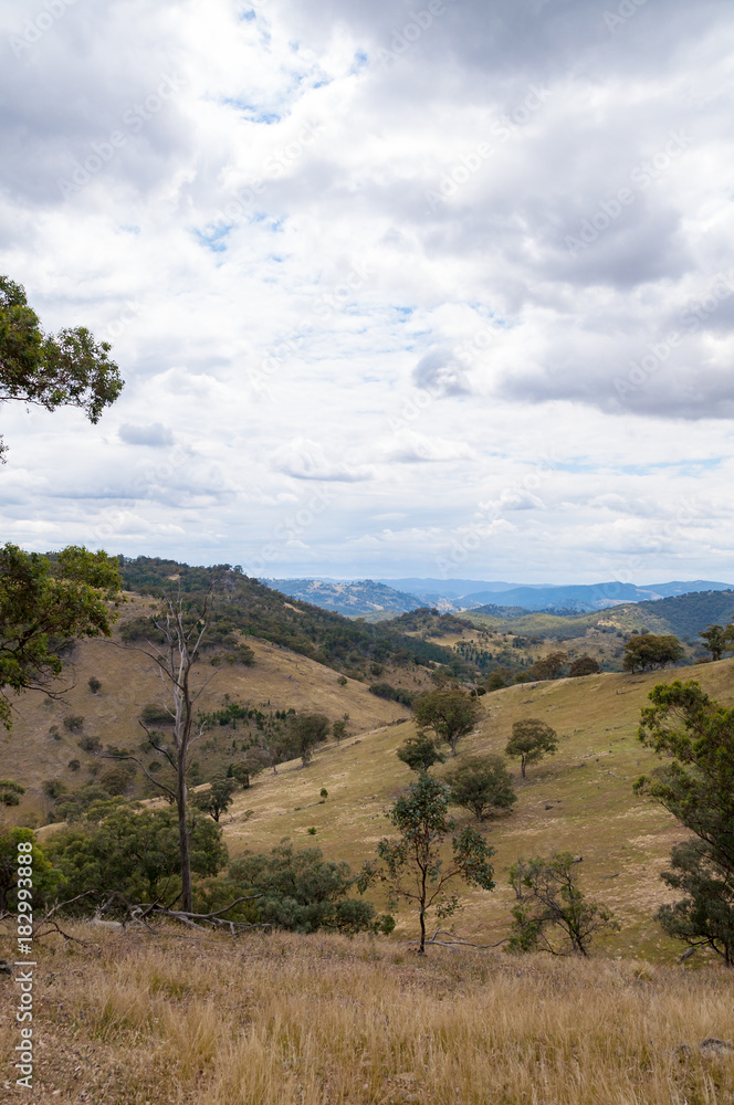 Australian outback landscape with hills and paddocks Australian outback landscape with hills and paddocks