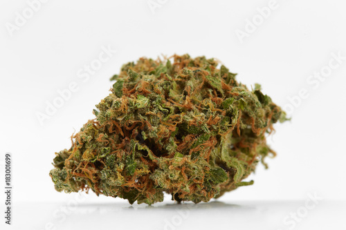 Close up of prescription medical marijuana sativa type XJ13 strain isolated on white background