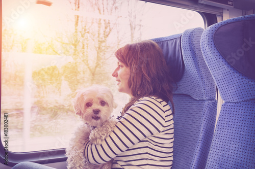 Dog traveling by train