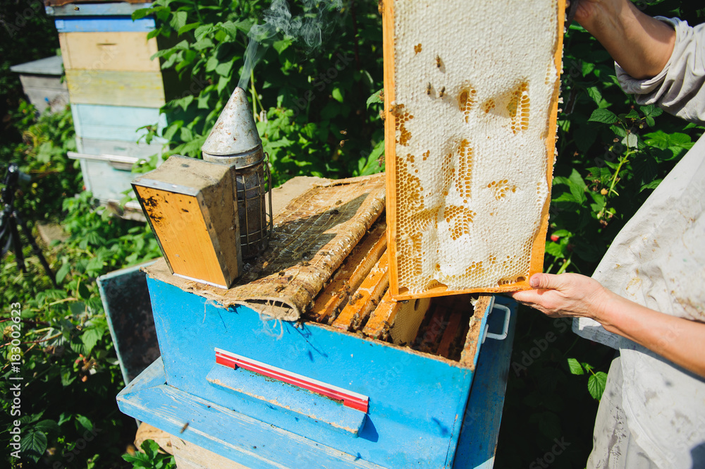 The beehive The beehive