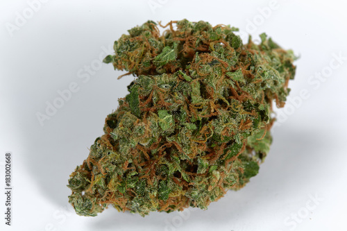Close up of prescription medical marijuana sativa type XJ13 strain isolated on white background