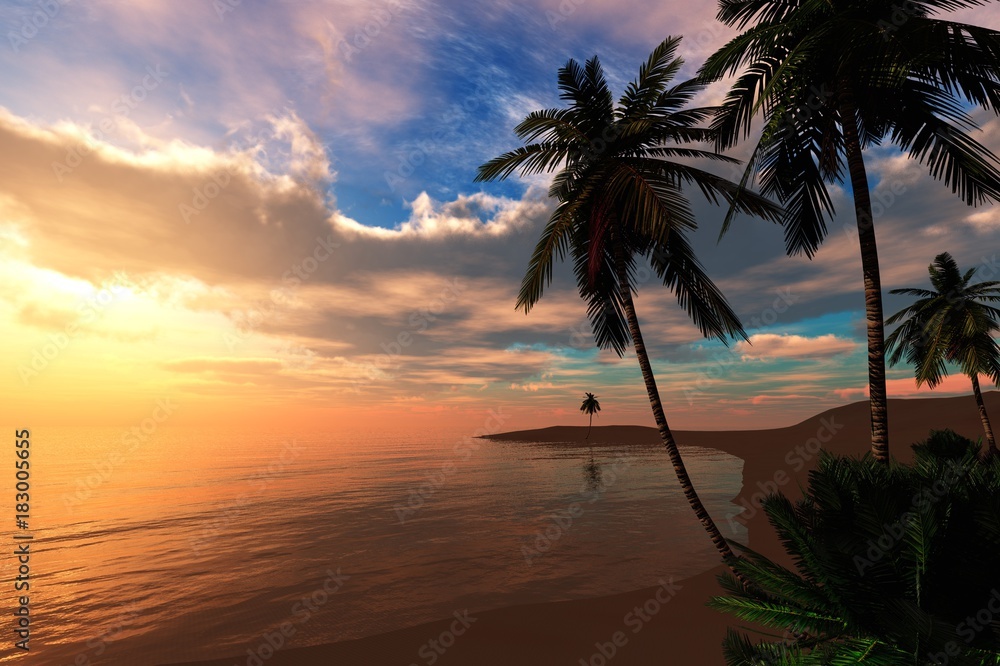 beautiful sea sunset on the beach with palm trees
