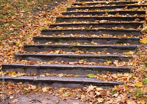 stairs covered with leaves