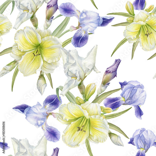 Floral seamless pattern with watercolor iris  daylily