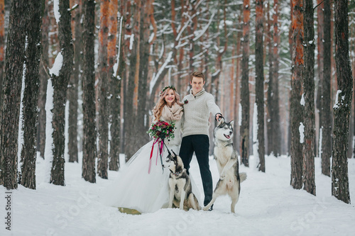 Cheerful bride and groom with two siberian husky are posed on background of snowy forest. Artwork