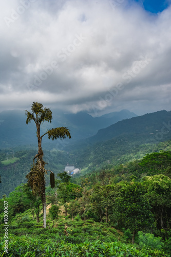 Beautiful view Laxshapana Sri Lanka  © tharindu
