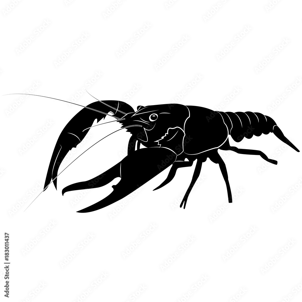 Ταπετσαρία Vector, flat image of river crawfish on an isolated white background