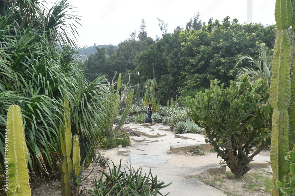 xiamen botanical garden xiamen botanical garden
