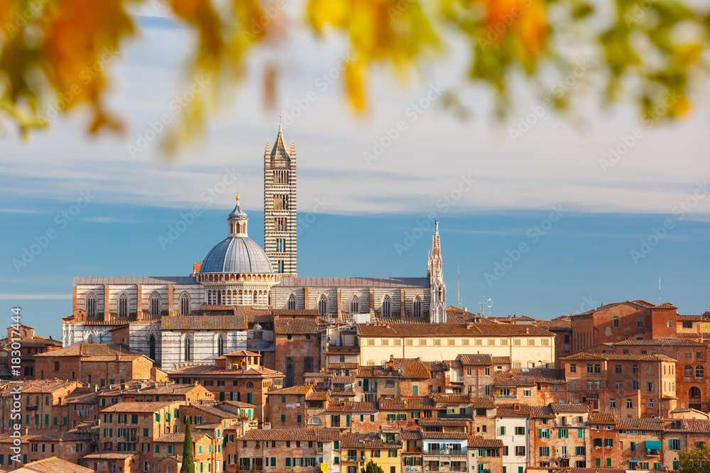 Beautiful view of Dome and campanile of Siena Cathedral, Duomo di Siena, and Old Town of medieval city of Siena in the sunny day through autumn leaves, Tuscany, Italy - obrazy, fototapety, plakaty 