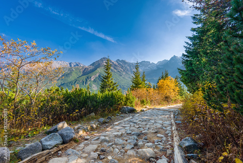 Obraz na płótnie Trail to Hala Gasienicowa, Tatra mountains, Poland w salonie
