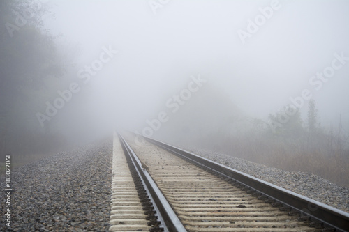 Foggy Day at the Greenway Trail