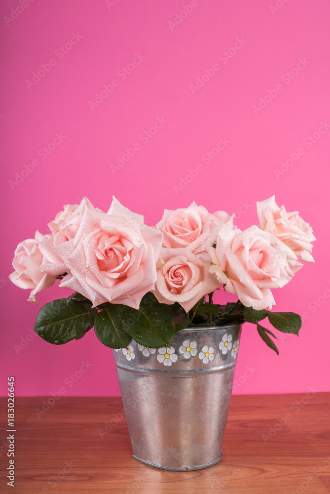 Bouquet of roses in flowers pan on the table and pink background