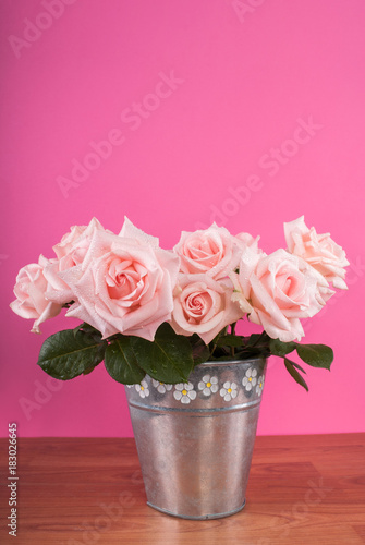 Bouquet of roses in flowers pan on the table and pink background
