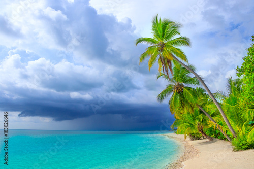 Fototapeta Naklejka Na Ścianę i Meble -  At the beach on Maldives