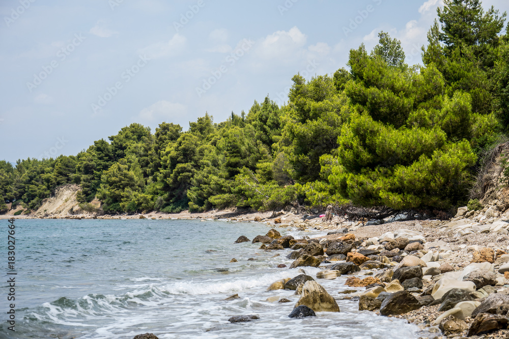 Fototapeta premium untidy wild beach