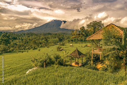 rice field with traditional house balinese in amed. bali. indonesia