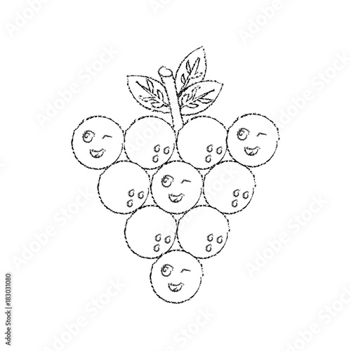grapes happy,fruit kawaii icon image vector illustration design sketch line
